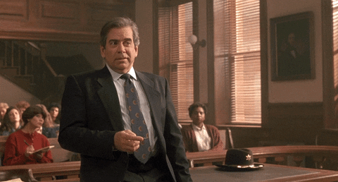 My Cousin Vinny Lawyer GIF