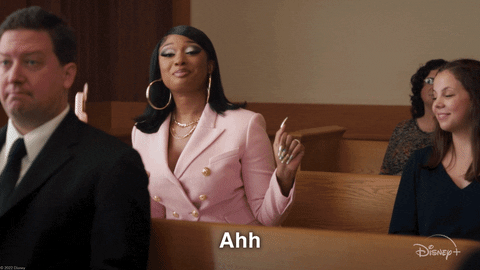 Megan Thee Stallion Lawyer GIF