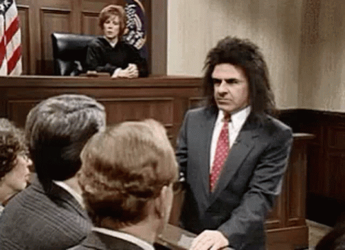 Lawyer In Court GIF