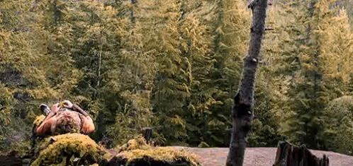 Laying Down In The Forest Percy Jackson GIF
