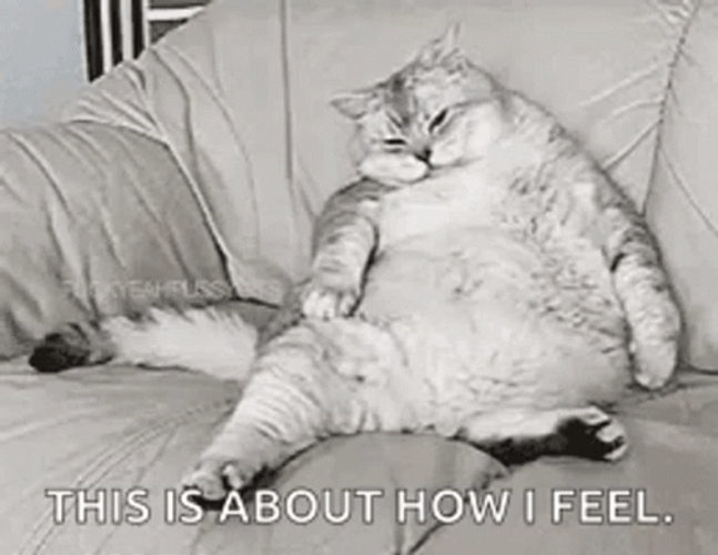 Lazy Couch Potato GIF