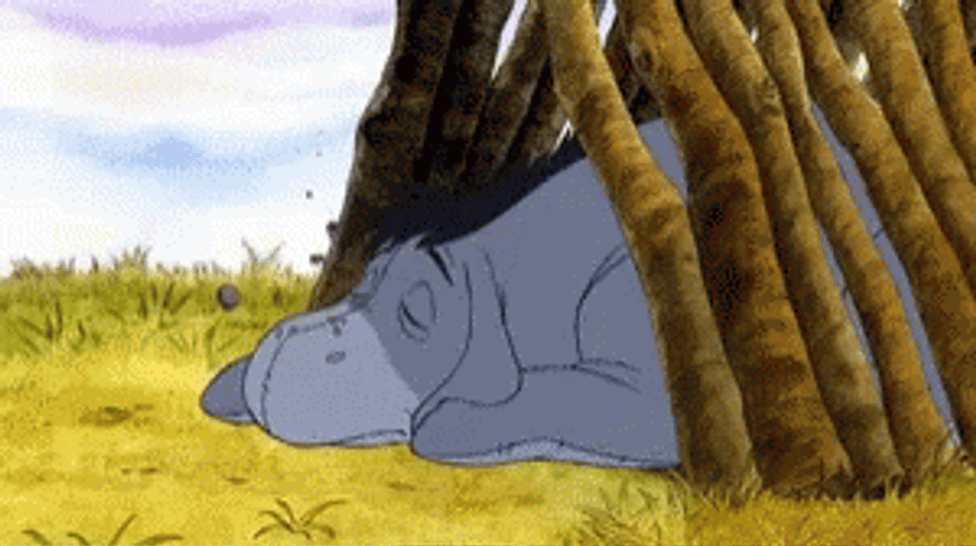 Lazy Eeyore Missing The Rock GIF