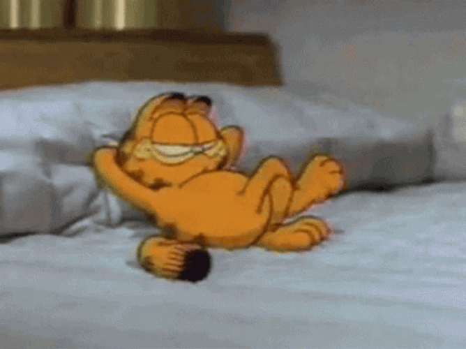Lazy Garfield In Room GIF