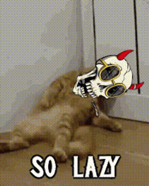 Lazy Orange Cat GIF