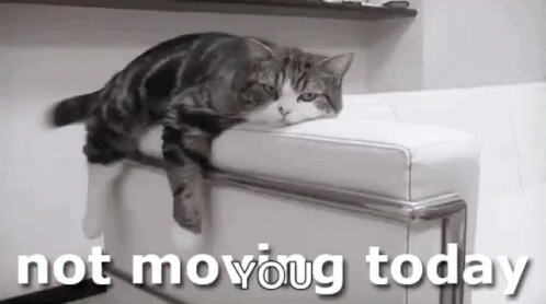 Lazy Saturday Not Moving Today GIF