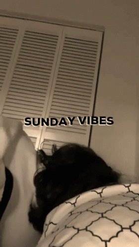 Lazy Sunday All Day Sleep GIF