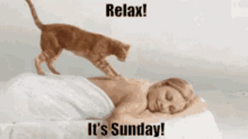 Lazy Sunday Ginger Cat Masseuse GIF