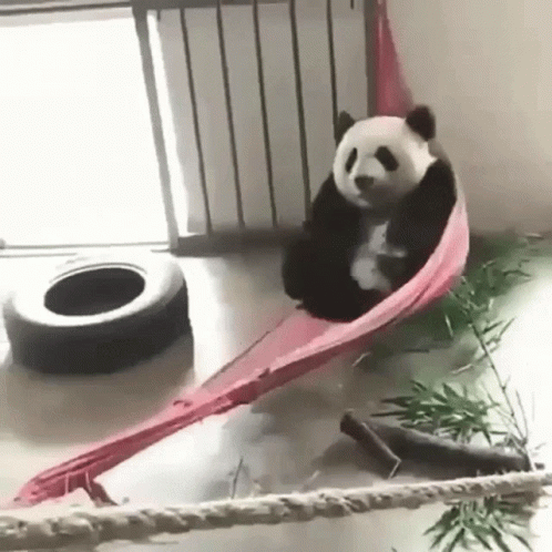Lazy Sunday Swinging Panda GIF