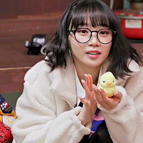 Le Sserafim Kim Chaewon Holding Yellow Chick GIF