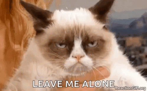 Leave Me Alone Grumpy Cat GIF