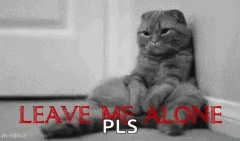 Leave Me Alone Lonely Kitty GIF