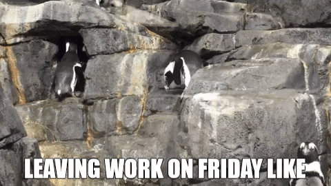 Leaving Work On Friday Penguin Running GIF