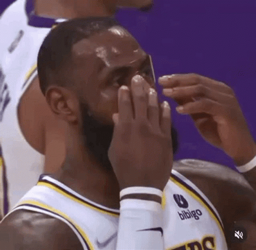 Lebron GIF