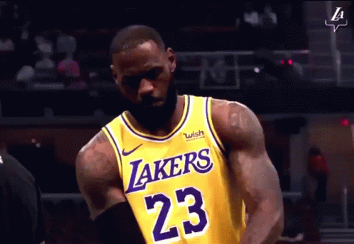 Lebron GIF