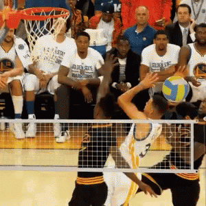 Lebron Flop Volleyball Edit GIF