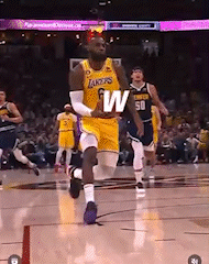 Lebron Flop W Basketball GIF
