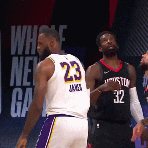 Lebron James GIF