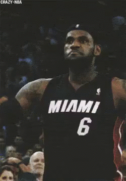 lebron james is wearing a miami 6 jersey