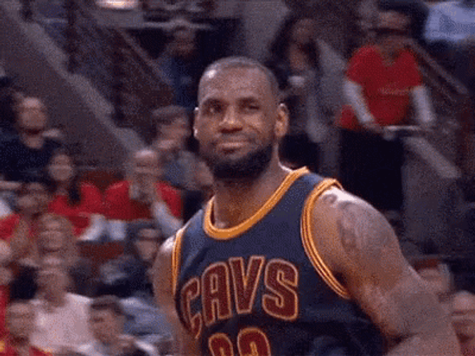 Lebron GIF