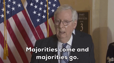 Lecturing Mitch Mcconnell Turtle GIF