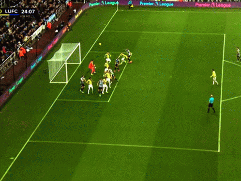 Leeds United Redfox9 GIF