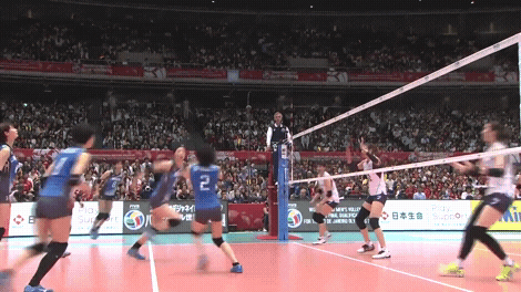 Lefty Female Volleyball Spiker GIF