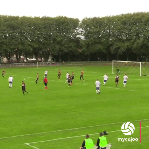 Lefty Guy Kicked The Ball For Goal GIF