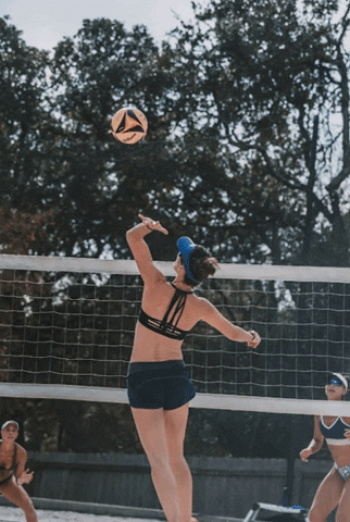 Lefty Lady Volleyball Spiker GIF