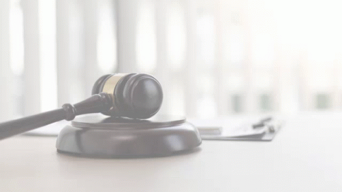 Legal Law GIF