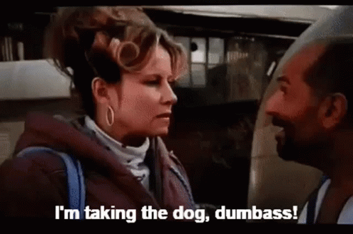 Legally Blonde 498 X 331 Gif GIF