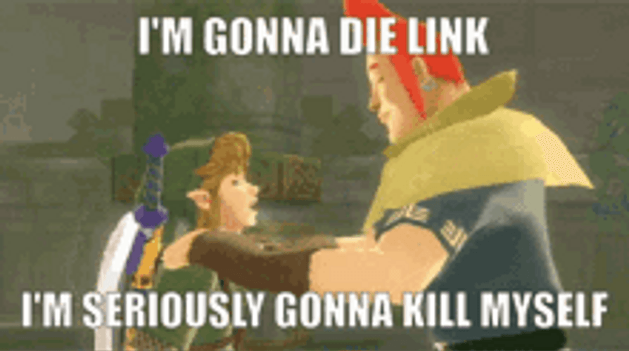 Legend Of Zelda Skyward Sword Kill Myself GIF