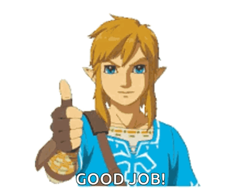 Legend Of Zelda Tears Of The Kingdom Approves GIF