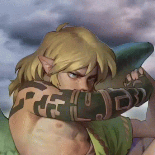 Legend Of Zelda Tears Of The Kingdom Arm Band GIF