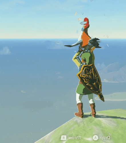 Legend Of Zelda Tears Of The Kingdom Bird Set Free GIF