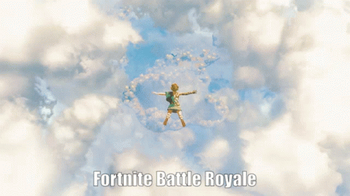 Legend Of Zelda Tears Of The Kingdom Free Fall GIF