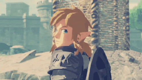 Legend Of Zelda Tears Of The Kingdom Look Behind GIF