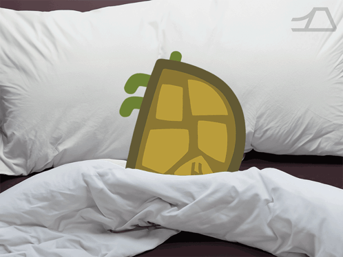 Lemon Slice Pillow on Bed
