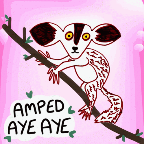 Lemur Drawing with Amped Aye Aye
