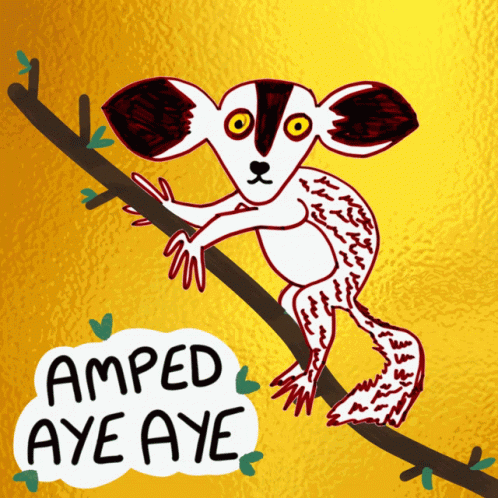 Lemur on Tree Branch with Amped Aye Aye