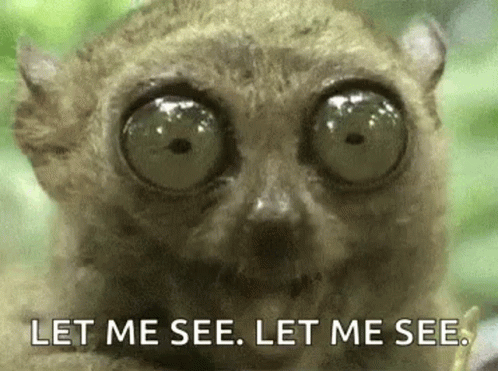 Lemur With Big Eyes Saying Let Me See GIF