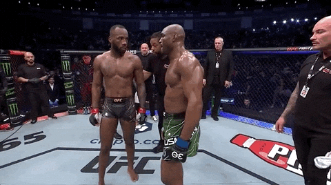 Leon Edwards Gentlemen Hand Shake GIF