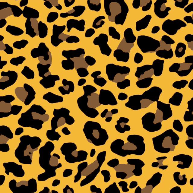 Leopard Leopard Prints Gif GIF