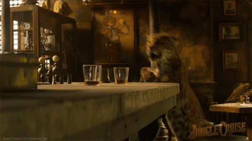 Leopard Standing on Table with Whiskey