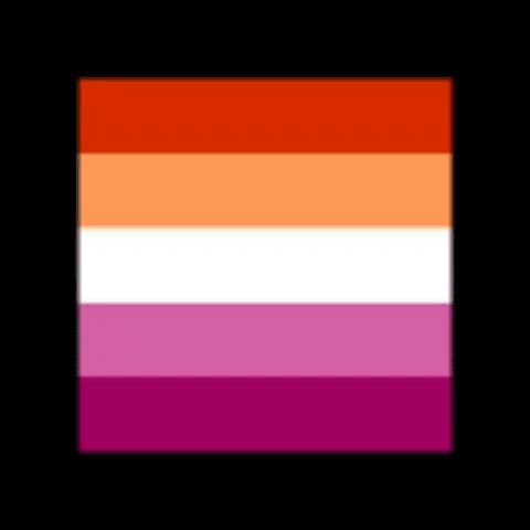 Lesbian Flag Red Orange White Purple Stripes