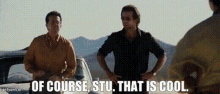 Leslie Chow That's Cool GIF