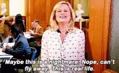 Leslie Knope Nightmare GIF