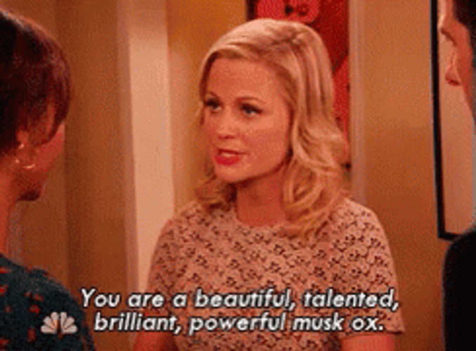 Leslie Knope You Are A Beautiful GIF