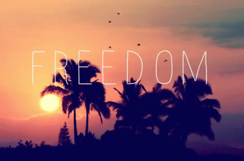 Let Freedom Ring Beautiful Sunset GIF