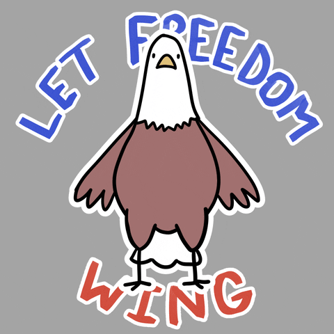 Let Freedom Ring Eagle Wing Meme GIF