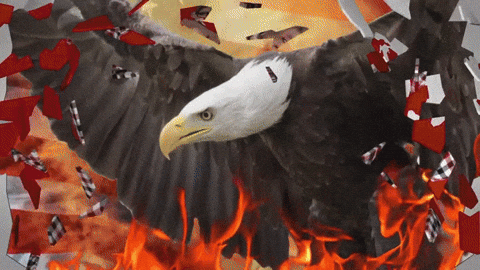 Let Freedom Ring Laser Eyes Eagle Icon GIF